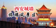大咪咪操逼网中国陕西-西安城墙旅游风景区