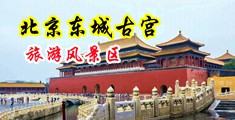 https://www.4hubb48.com/video/zipai/中国北京-东城古宫旅游风景区